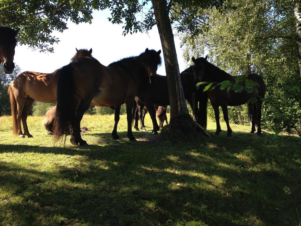 Hostel Karaby Gard, Country Living Kristinehamn Zewnętrze zdjęcie